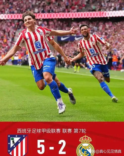 雨燕直播免费看